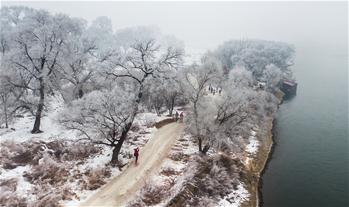 Rime scenery seen at scenic spot in China's Jilin