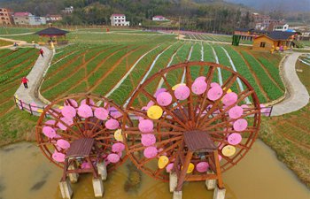 Rural scenery at Changjianghe Village in China's Henan