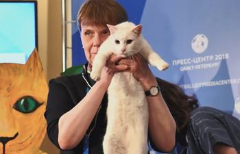 Russia’s psychic cat Achilles correctly predicts winner in World Cup opener