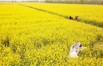 Spring scenery across China