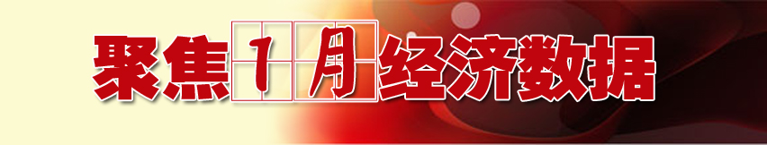 聚焦13年1月经济数据