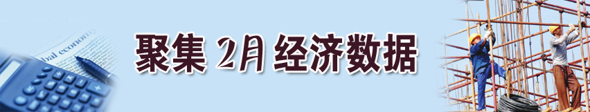 聚焦13年2月经济数据