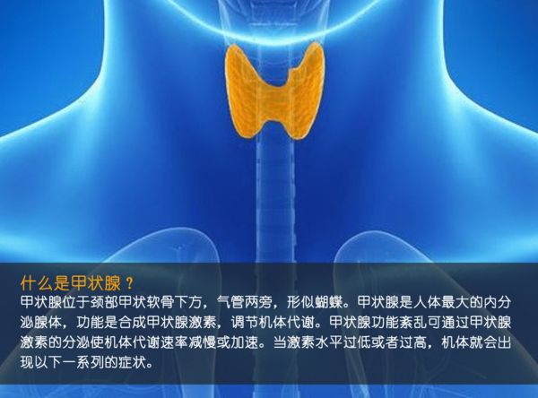 关注甲状腺健康，你应该知道的那些事