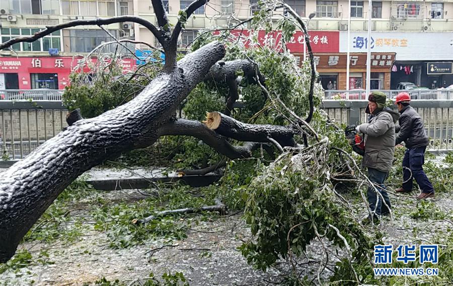 （新华全媒头条）（7）雨雪冰冻中，他们奋力前行——基层党员干群抗击冰雪灾害纪实