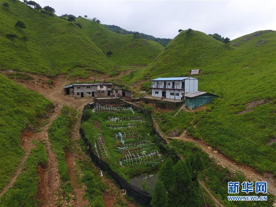 （新华全媒头条·图文互动）（3）一个人，一座山——刘真茂的生命守望