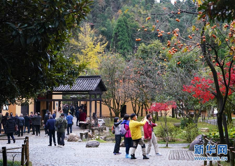 （新華全媒頭條）（2）向著新的峰巔登攀——從井岡山精神看中國改革開放40年