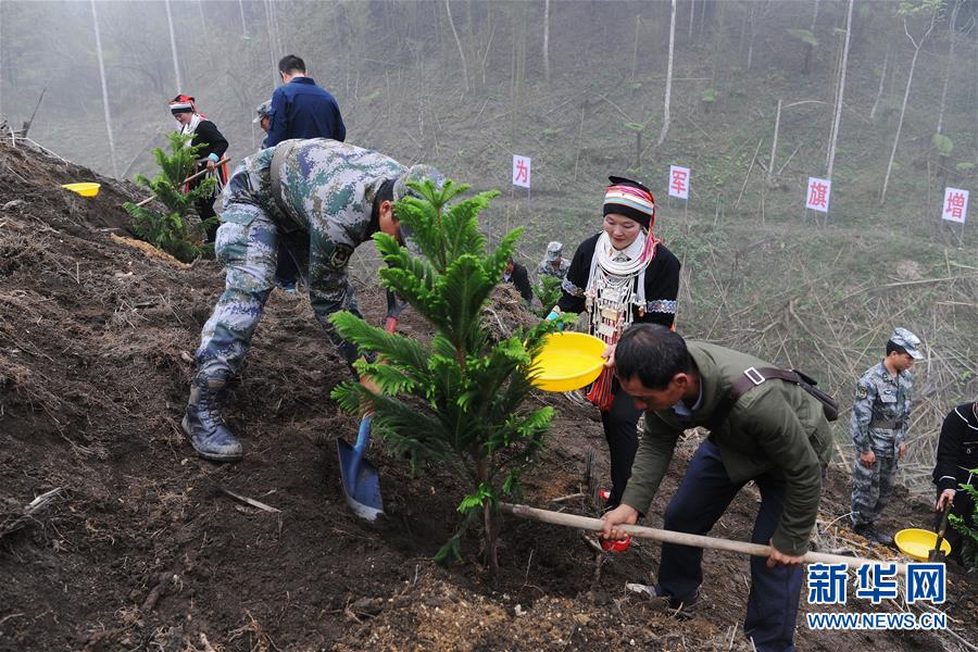 （图文互动）（6）和平年代，离死神最近的人——南部战区陆军云南扫雷大队边境扫雷排爆记事