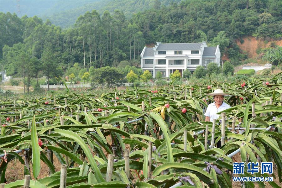 （在習(xí)近平新時代中國特色社會主義思想指引下——新時代新作為新篇章·總書記關(guān)心的百姓身邊事·圖文互動）（6）大污染變身“大寶藏”：治理畜禽糞污，他們這樣干！