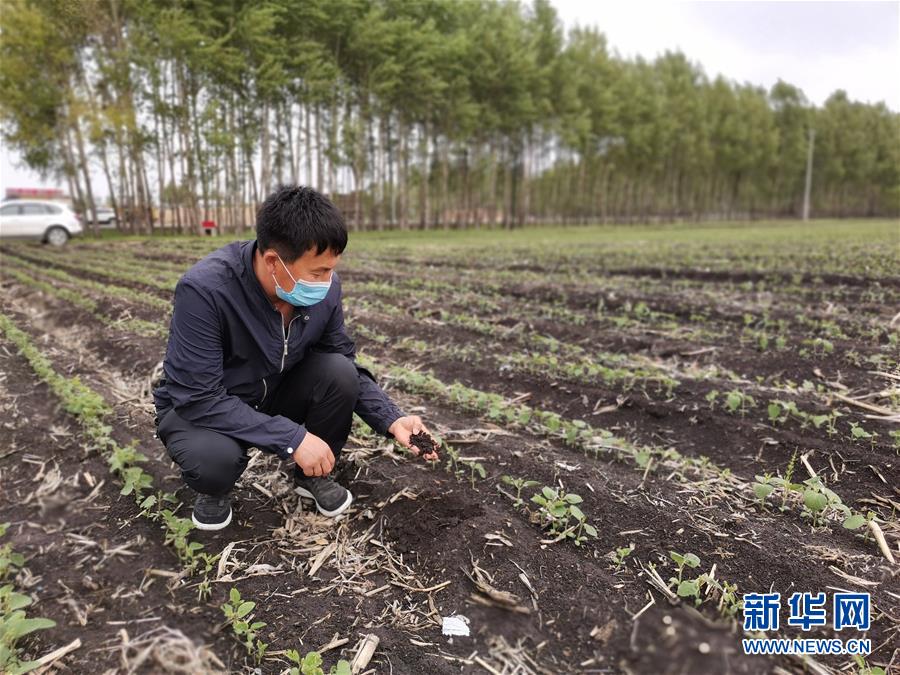 （在习近平新时代中国特色社会主义思想指引下——新时代新作为新篇章·习近平总书记关切事·图文互动）（6）让每一寸耕地都成为丰收的沃土——我国加强耕地?；ね平?ldquo;藏粮于地”