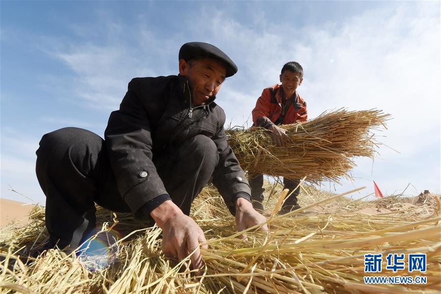 （在习近平新时代中国特色社会主义思想指引下——新时代新作为新篇章·习近平总书记关切事·图文互动）（5）绿色映底蕴，山水见初心——生态优先、绿色发展持续造福群众美好生活