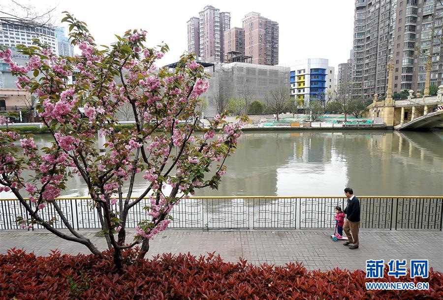 （新华全媒头条·走向我们的小康生活·图文互动）（12）城市，让人民生活更美好