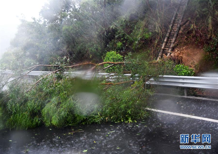 （环境）（3）台风“米克拉”登陆福建