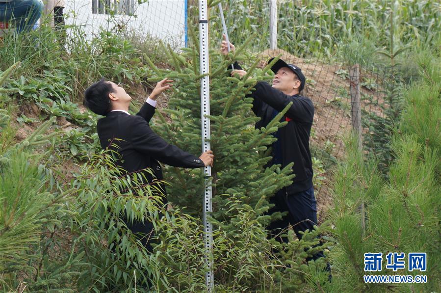 （决战决胜脱贫攻坚·图文互动）（2）甘肃定西黄土高坡上，有片“福州林”