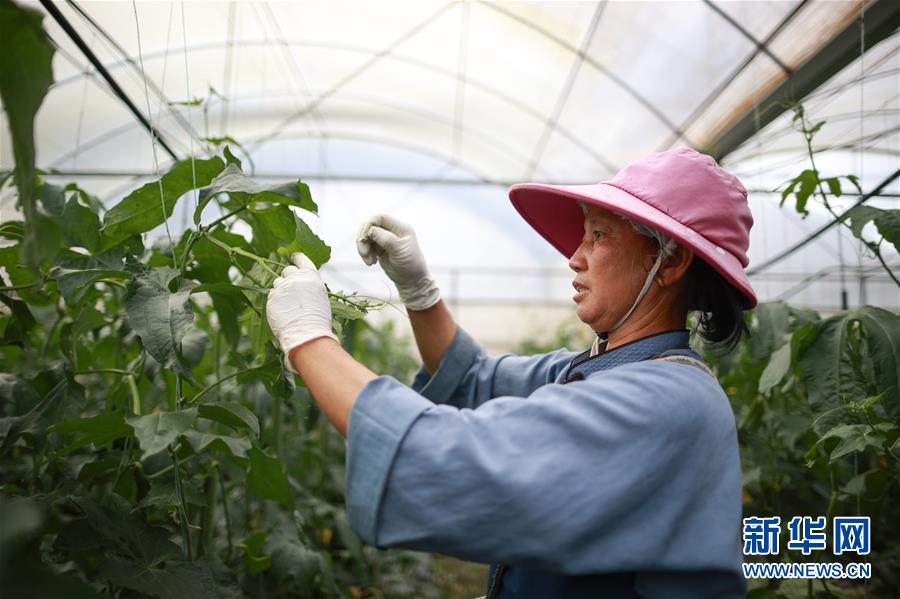 （走向我们的小康生活·决战决胜脱贫攻坚·图文互动）（1）麻山突围记