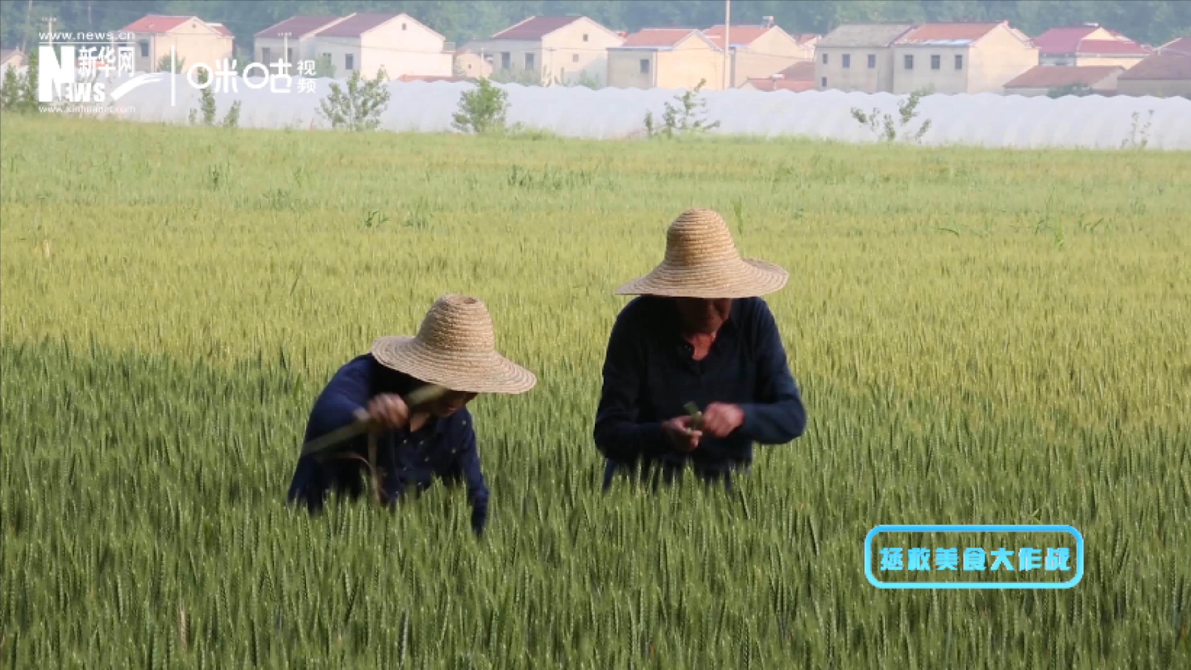 被浪费的不止是食物本身，还有生产粮食的资源、金钱和劳动力