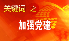 王京清：加强党建必须倍加珍惜、始终坚持、不断发展