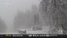 四川：冬日峨眉山 冰雪惹人醉