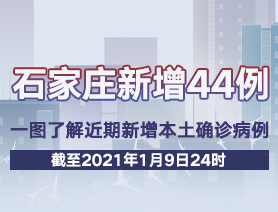 石家庄新增44例 一图了解近期新增本土确诊病例