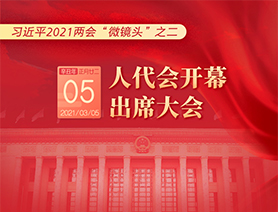 习近平2021两会“微镜头”之二：3月5日 人代会开幕，出席大会