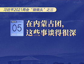 习近平2021两会“微镜头”之三 3月5日 在内蒙古团，这些事谈得很深