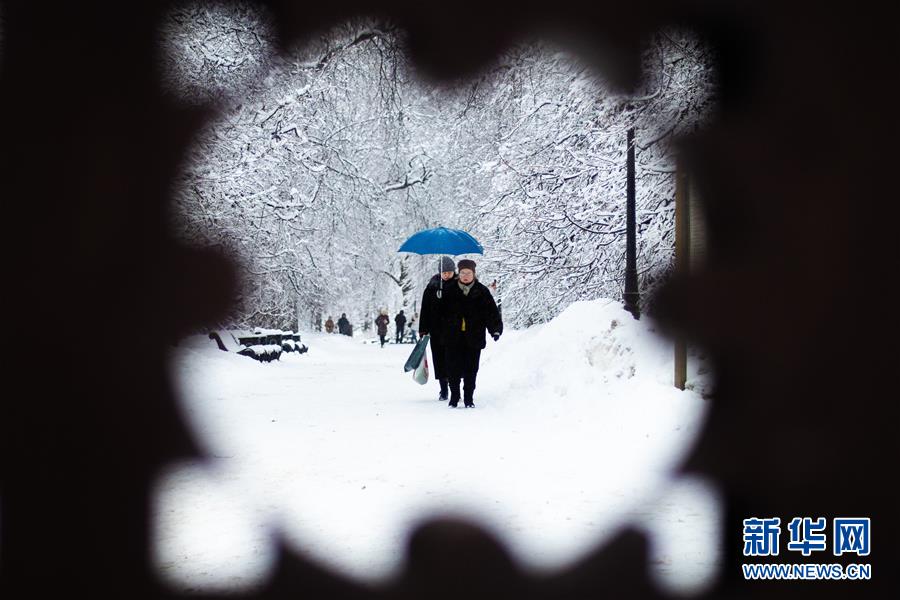 （國(guó)際）（2）雪中莊園