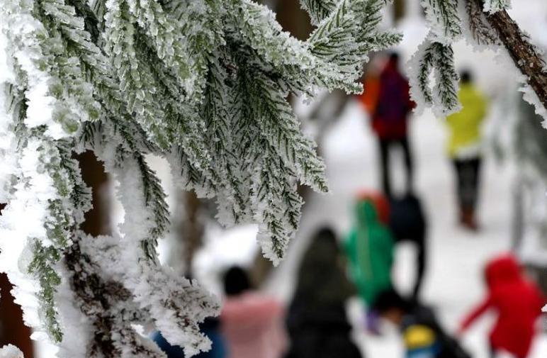 張家界武陵源現冰雪峰林 游人享“南國雪色”