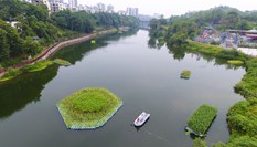 “生态浮岛”净水靓城