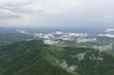 “十万大山”秋色美